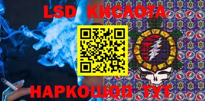 гидра Славгород