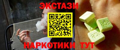 гидра Славгород