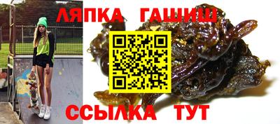 гидра Славгород