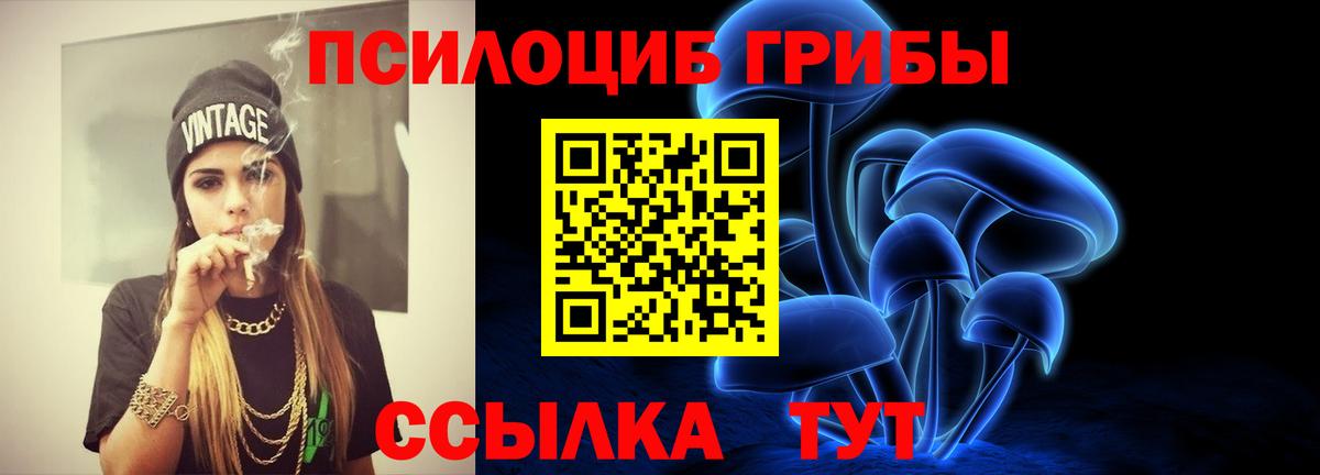 Псилоцибиновые грибы ЛСД  магазин    Мурманск  Вход с VPN 